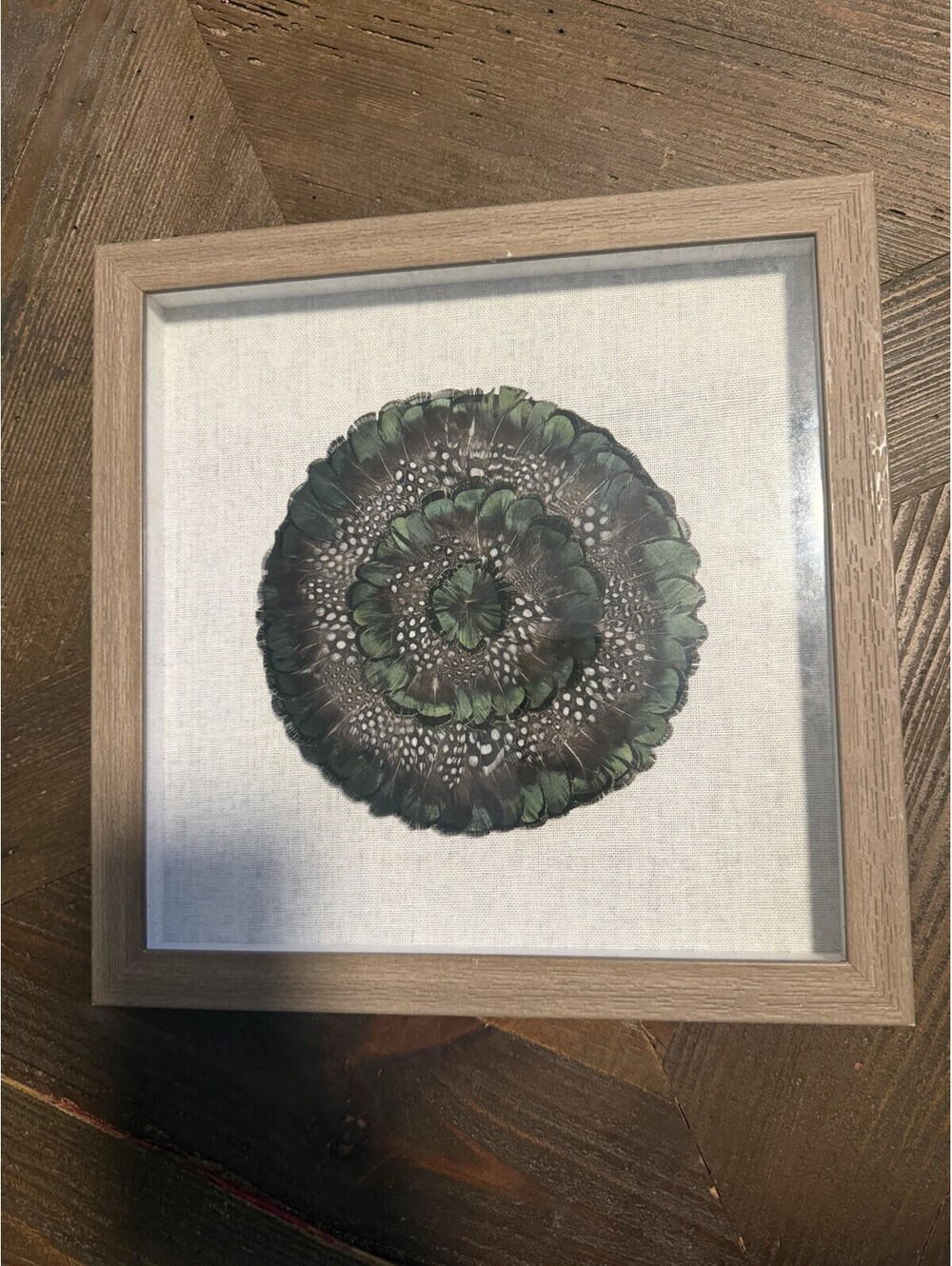 Pheasant Feather Decorative wall art with frame